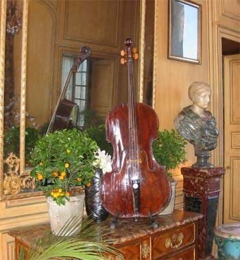 violoncello Cimapane