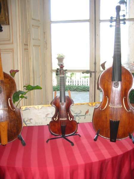 viola da gamba Leidolff Albanus