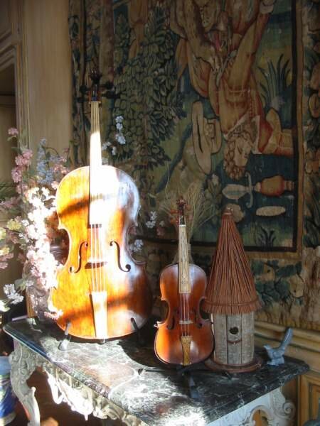 violin Amati violoncello Montagnana-School