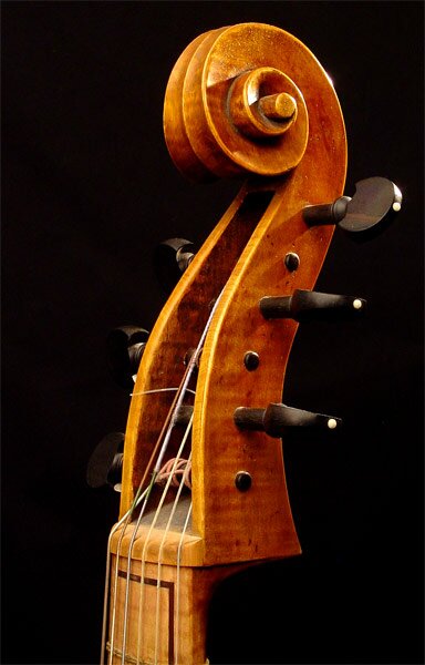 Viola da gamba by Gianbattista Grancino