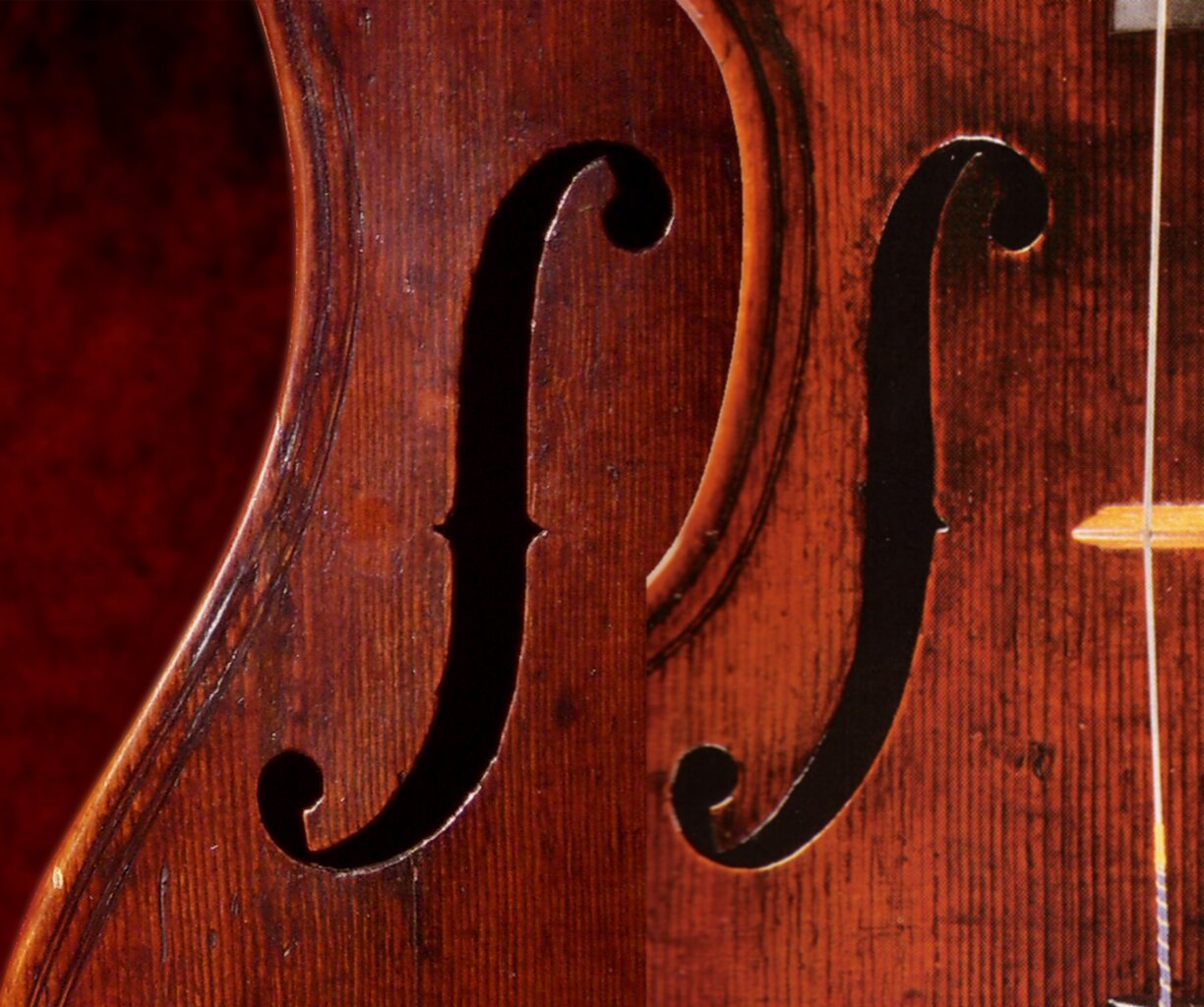 viola da gamba tenor by Gasparo da Salò